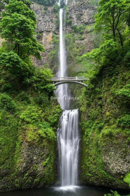Naturaleza, foto 6