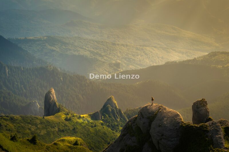 Naturaleza, foto 10