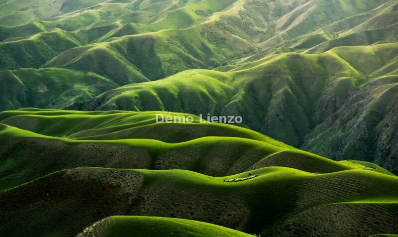 Naturaleza, foto 8